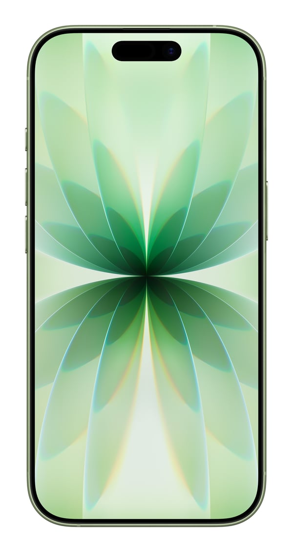Apple iPhone 17 16 cm (6.3") Kaksois-SIM iOS 26 5G USB Type-C 256 GB Salvia