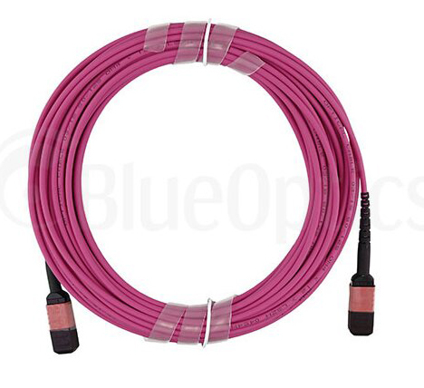 BlueOptics CBL-MPO12-OM4-30M-BO InfiniBand og fiberoptisk kabel MPO Lyserød