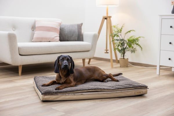 Kerbl 85783 hunde- og katteseng