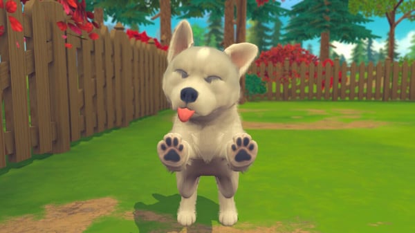 Microids My Universe: Pets Edition