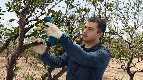 Bosch Pro Pruner Professional batteridreven græssaks 2,5 cm 12 V Lithium-Ion (Li-Ion) Sort, Blå