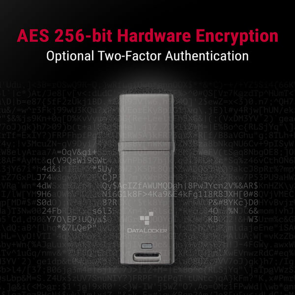 Miniatyrbillede 4 af 14: DataLocker DL GO USB-nøgle 4 GB USB Type-A 3.2 Gen 2 (3.1 Gen 2) Grå