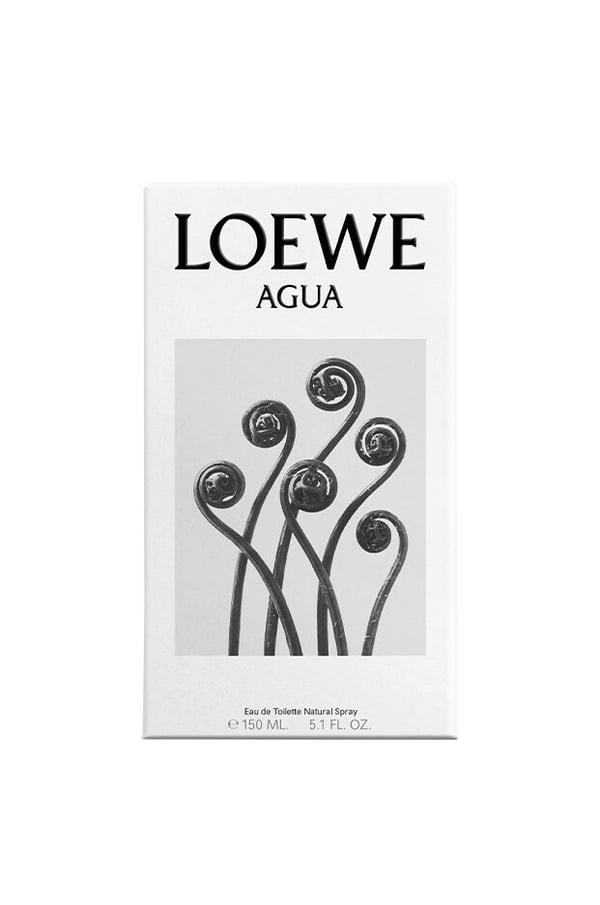 LOEWE Perfumes Agua 50 ml Naisten