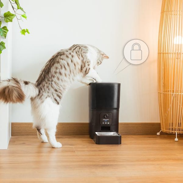 Cecotec PUMPA 6000 vandskål og foderautomat til hund og kat Plast, Rustfrit stål Sort, Blå Universel Automatisk foderautomat til kæledyr