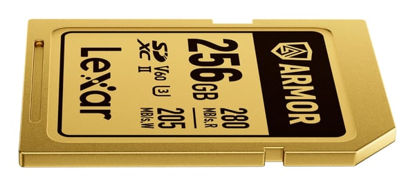 Pikkukuva 3 / 4: Lexar ARMOR GOLD 256 GB SDXC UHS-II