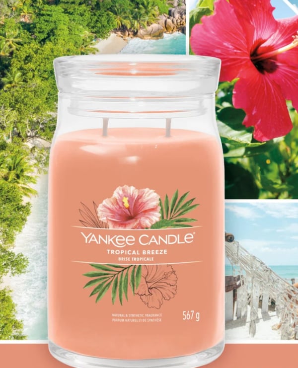Yankee Candle Tropical Breeze vahakynttilä Sylinteri Guava, Minttu Oranssi 1 kpl