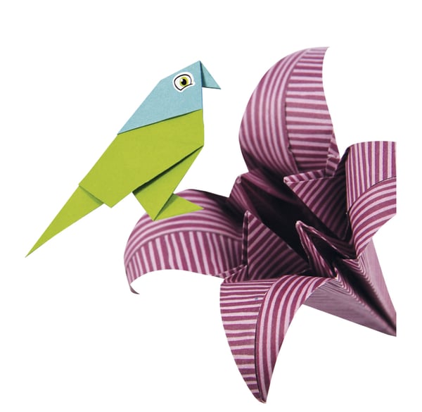 Pikkukuva 3 / 6: Origamisetti, useita malleja