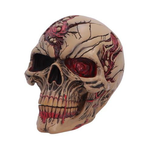 Miniatyrbillede 7 af 7: Nemesis Now B7711B26 action & samlefigurer