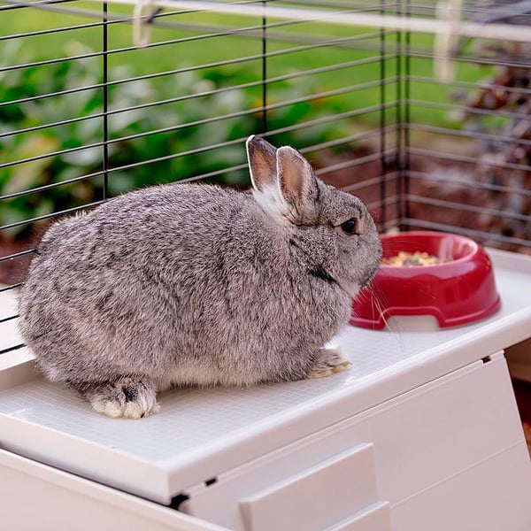 Ferplast Krolik 140 Plus Rabit Grå, Rød