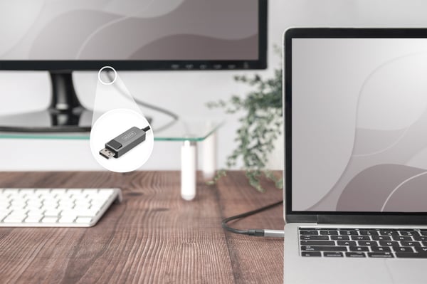 DIGITUS USB Typ C till DisplayPort dubbelriktad adapterkabel