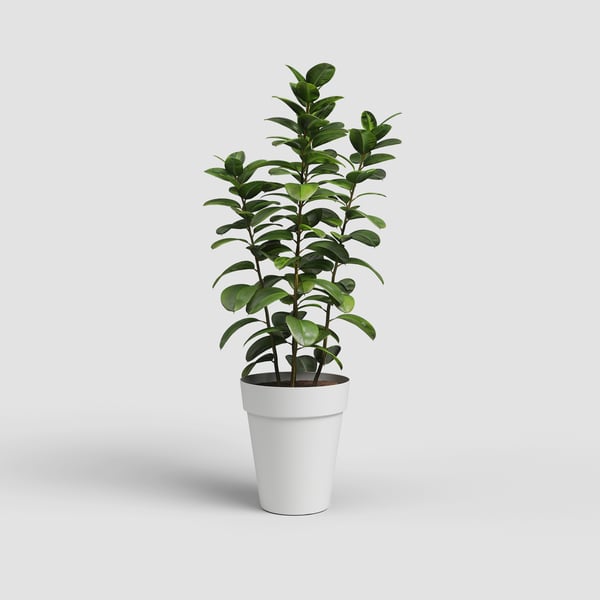 Miniatyrbillede 2 af 6: Artevasi Capri High Pot Hvid 4 stk