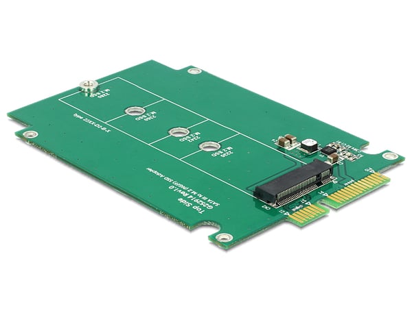 DeLOCK 62552 nätverkskort/adapters