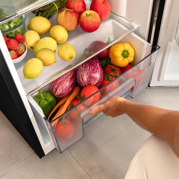 Miniatyrbillede 7 af 7: Cecotec Bolero CoolMarket 2D Origin 215 Fritstående 215 L Sort