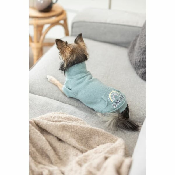 TRIXIE 680814 yderbeklædning til hund og kat XS Grøn Bomuld, Polyester Sweater