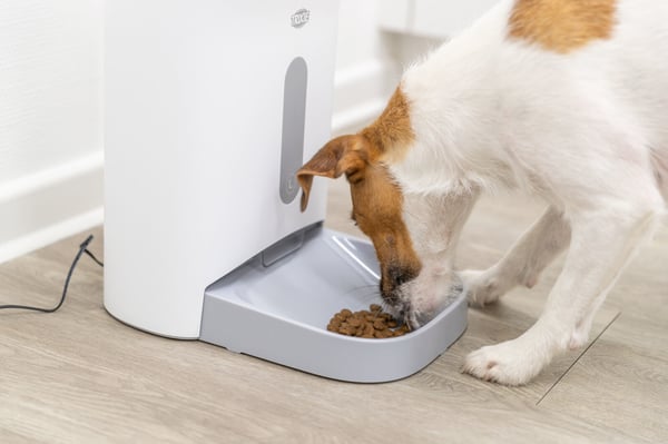 TRIXIE TX8 2.0 foder- och vattenautomat för hund och katt Plast Grå, Vit Automatisk foderautomat