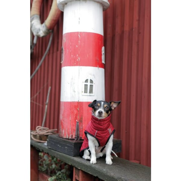 TRIXIE TX67987 yderbeklædning til hund og kat XS Rød Polyester Frakke