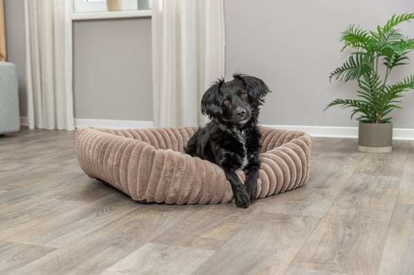 TRIXIE 374027 hunde- og katteseng Pude kæledyrseng