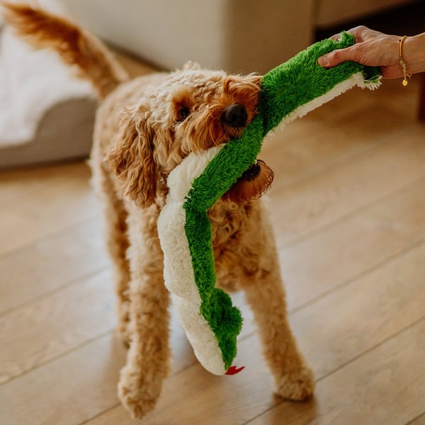 Miniatyrbild 5 av 5: Nobby 67465 leksak för hund och katt