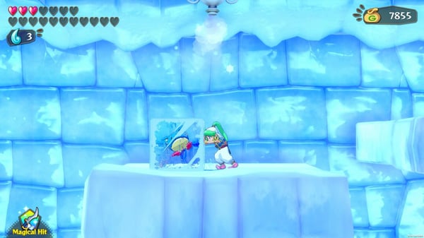 ININ Games Wonder Boy : Asha In Monster World Vakio