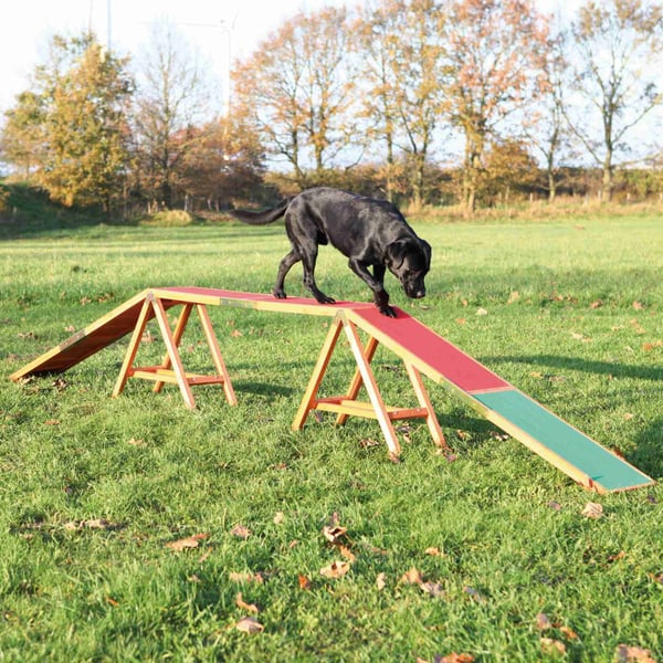 TRIXIE Fun Agility Dogwalk Koira