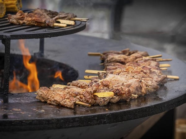 Purline EFP56B barbecue & grill Ildsted Brænde Sort