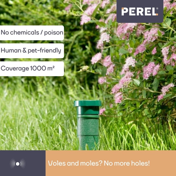 Miniatyrbild 2 av 8: Perel 362204 övrigt