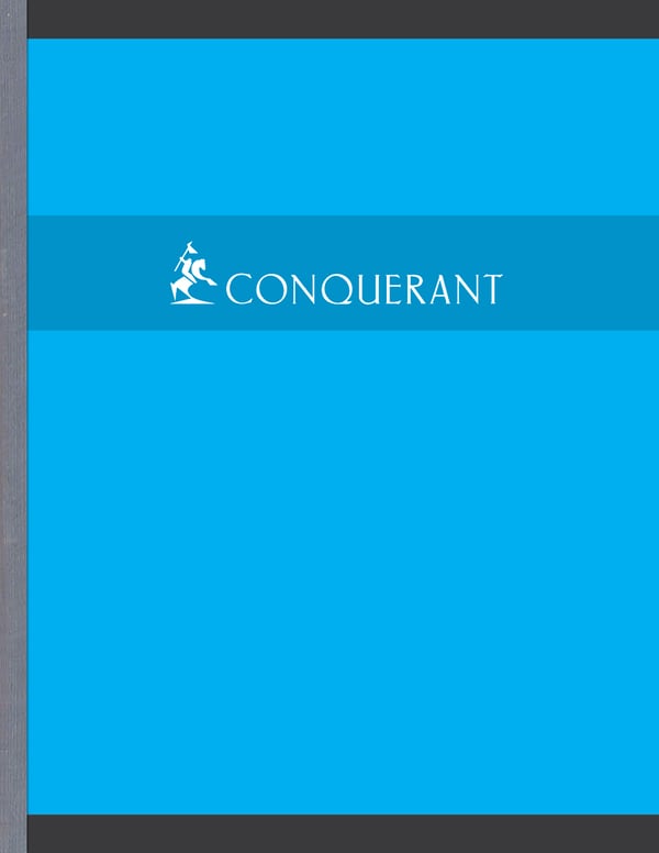 Conquerant 100104437 blok og notesblok 192 ark Rød, Grøn, Gul, Blå