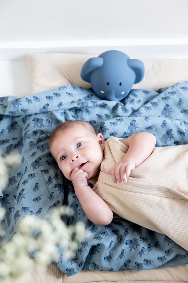 TRIXIE Elephant natlys til baby Fritstående Blå