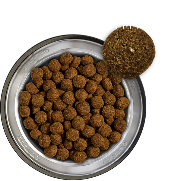 Belcando 560125 tørfoder til hund 12,5 kg Voksen Fjerkræ