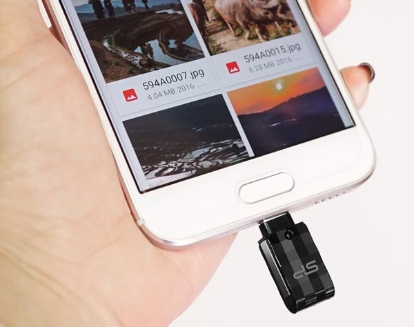 Silicon Power Mobile C31 USB-sticka 64 GB USB Type-A / USB Type-C 3.2 Gen 1 (3.1 Gen 1) Svart, Silver