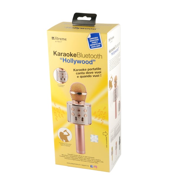 Pikkukuva 6 / 8: Xtreme Hollywood Ruusukulta, Hopea Karaokemikrofoni
