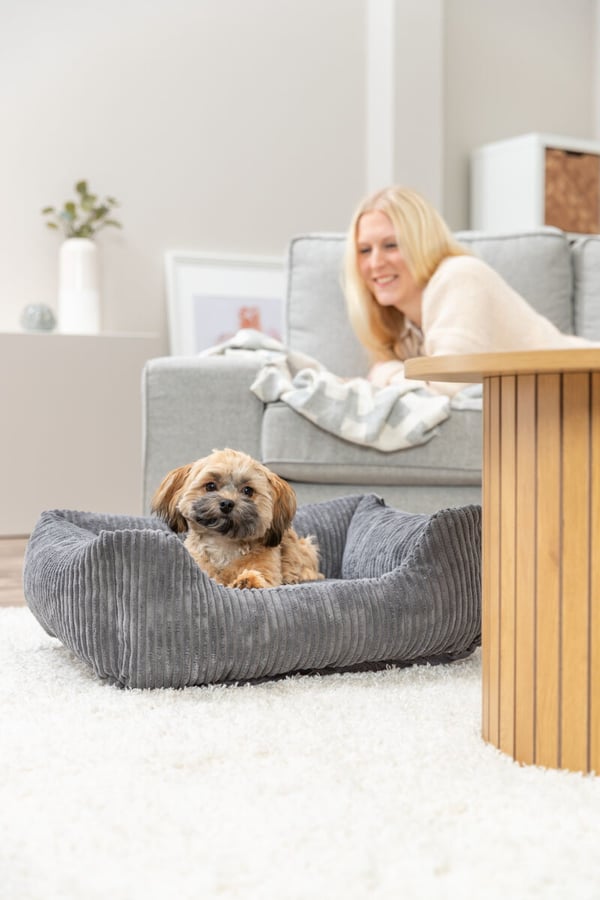 Miniatyrbillede 4 af 4: TRIXIE 372771 hunde- og katteseng Bolster kæledyrseng