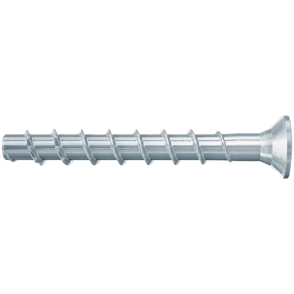 Fischer 546384 skrue/bolt 60 mm 100 stk