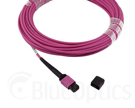 Miniatyrbild 4 av 7: BlueOptics CBL-MPO12-OM4-20M-BO InfiniBand och fiberoptisk kabel MPO Violett