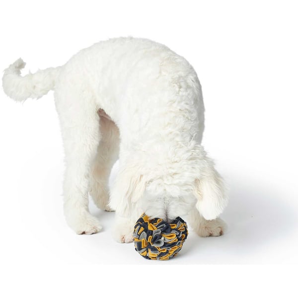 Miniatyrbild 3 av 4: Hunter Eiby