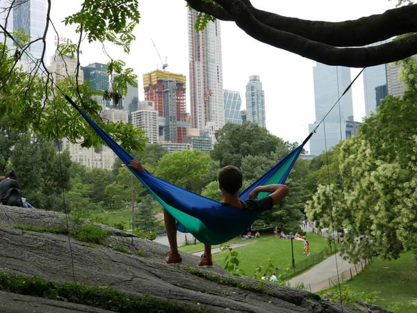 Miniatyrbild 10 av 12: AMAZONAS Adventure Hammock Upphängningsbar hängmatta 1 personer Nylon, Ripstop Blå, Mintfärgad