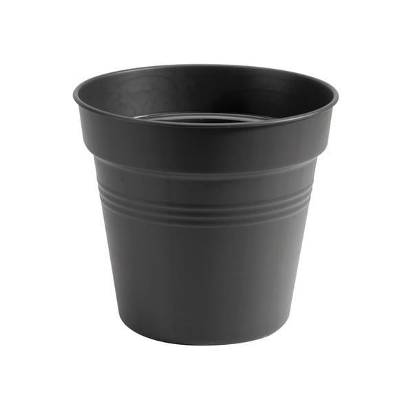 Miniatyrbillede 1 af 7: elho 8711904106782 plantekasse Indendørs/udendørs Plast Sort