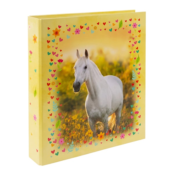 Miniatyrbild 1 av 4: Goldbuch 35 117 ringpärmar A4+ Multifärg