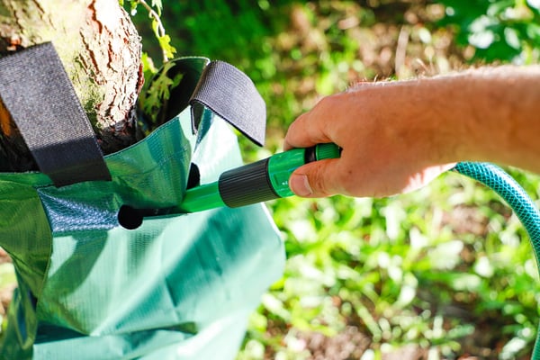 Miniatyrbild 3 av 7: BGS technic Tree Irrigation Bag