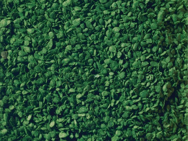 NOCH Leaves Set skalamodell dele og tilbehør Blade