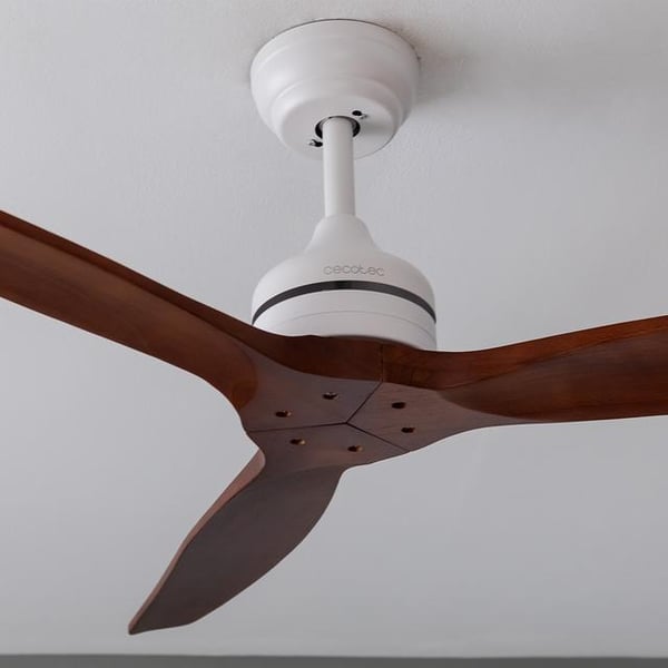 Cecotec 08552 kodinpuhallin Puu