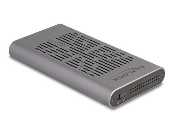 DeLOCK 42027 tallennusaseman kotelo SSD-kotelo Harmaa M.2