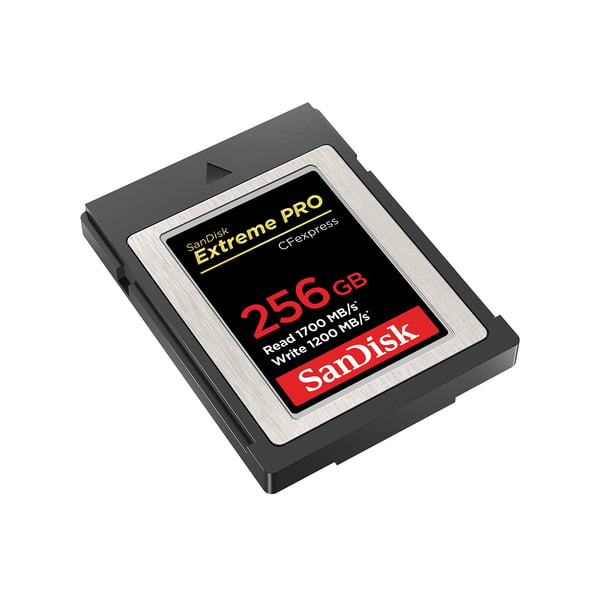 SanDisk Extreme Pro - Flash-hukommelseskort - 256 GB