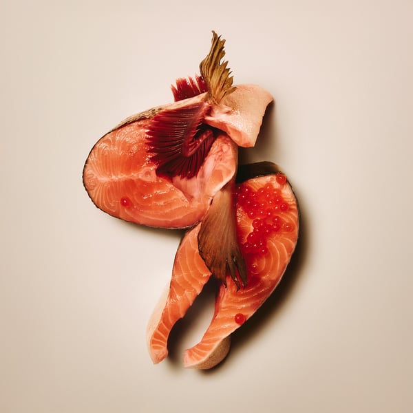 Miniatyrbillede 8 af 9: CARNILOVE 103100798 godbid til hund og kat Snacks Laks 200 g