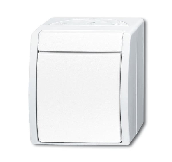 Busch-Jaeger AP WECHSELSCH / BUSCH 2601/6 W-54 2CKA001085A1628
