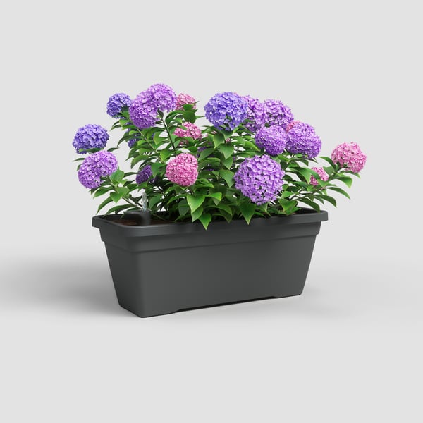 Artevasi Venezia L Plant Box Sws Anthracit 4 stk
