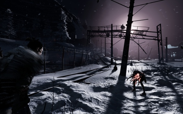Pikkukuva 2 / 4: PLAION Fade to Silence, PS4 Vakio Monikielinen PlayStation 4