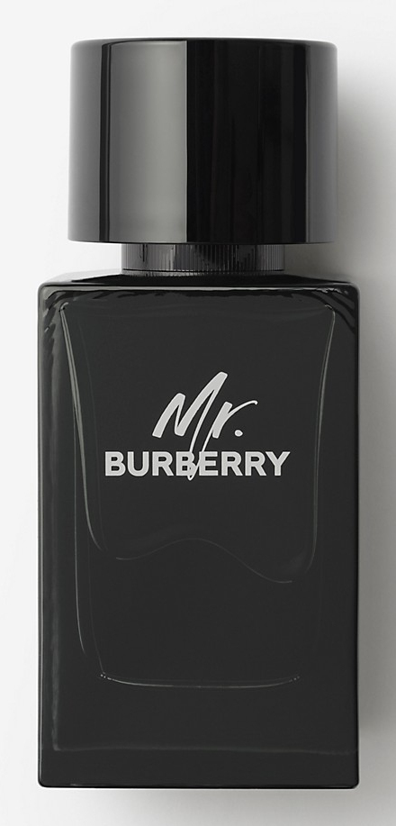 Burberry Mr. 100 ml Mænd