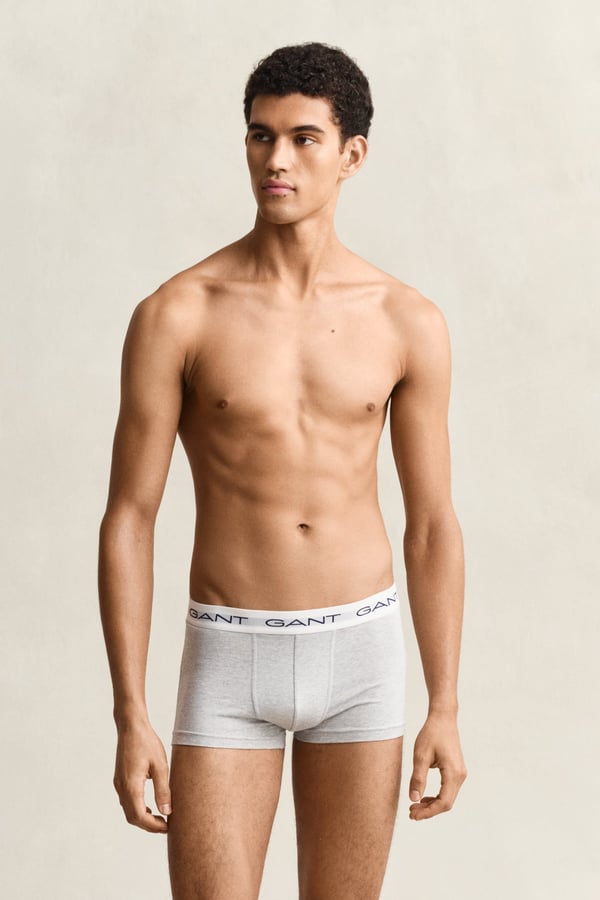 Gant 900023003-94 Grå