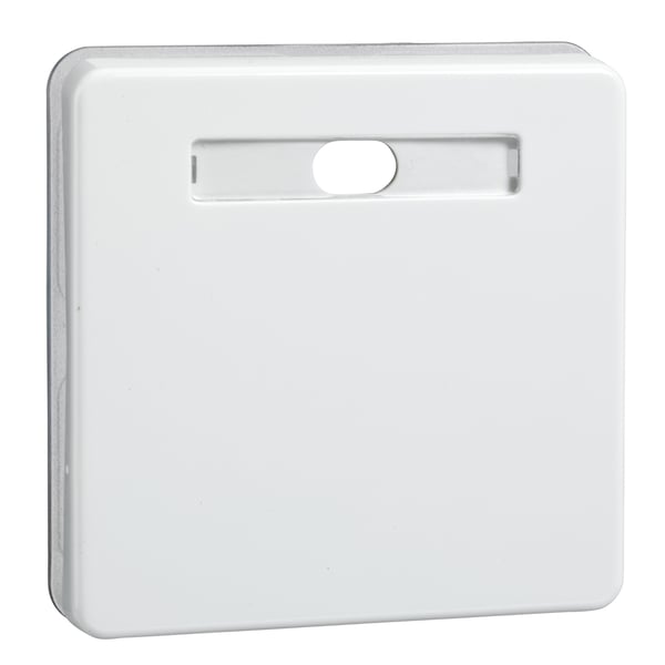 Schneider Electric 233624 elektrisk skift tilbehør vippekontakt